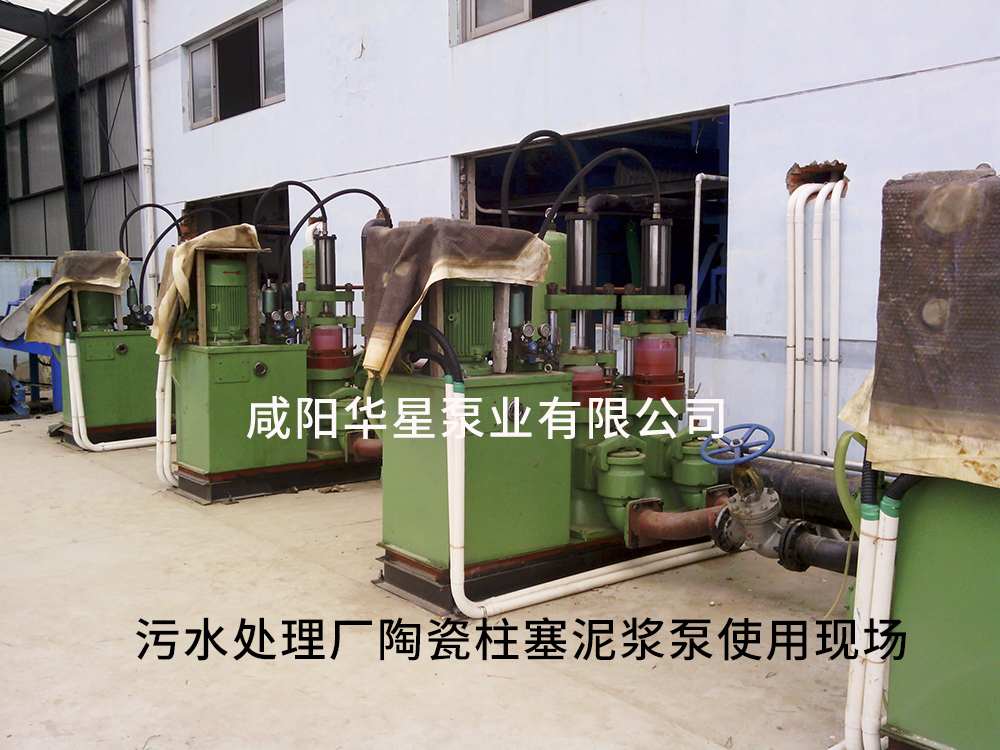 陶瓷(ci)柱塞泵和砂漿泵(beng)的區别