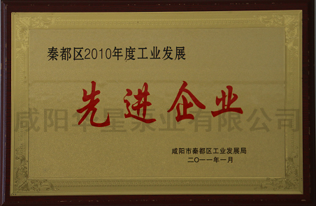 秦都(dōu)區2010年度(du)工業發(fa)展先進(jìn)企業