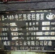 陶瓷柱(zhu)塞泵在環保行(háng)業的作用