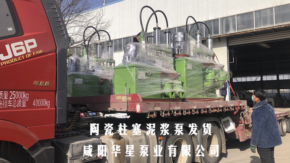 陝西陶瓷柱塞(sai)泵發貨