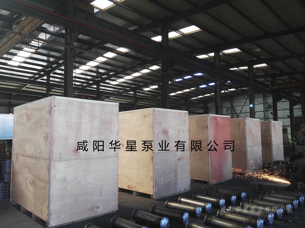 陶(táo)瓷柱塞泵(beng)發貨視頻(pín)