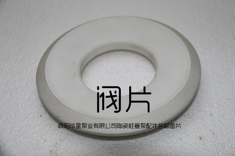 陶瓷柱塞泵閥片(piàn)