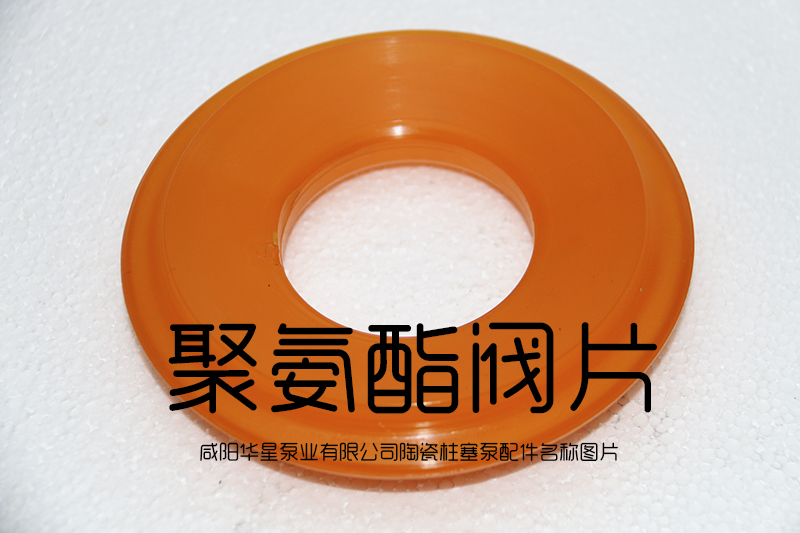 陶(tao)瓷柱塞泵(bèng)配件