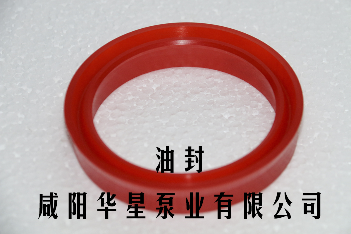 陶(táo)瓷柱塞泵油封