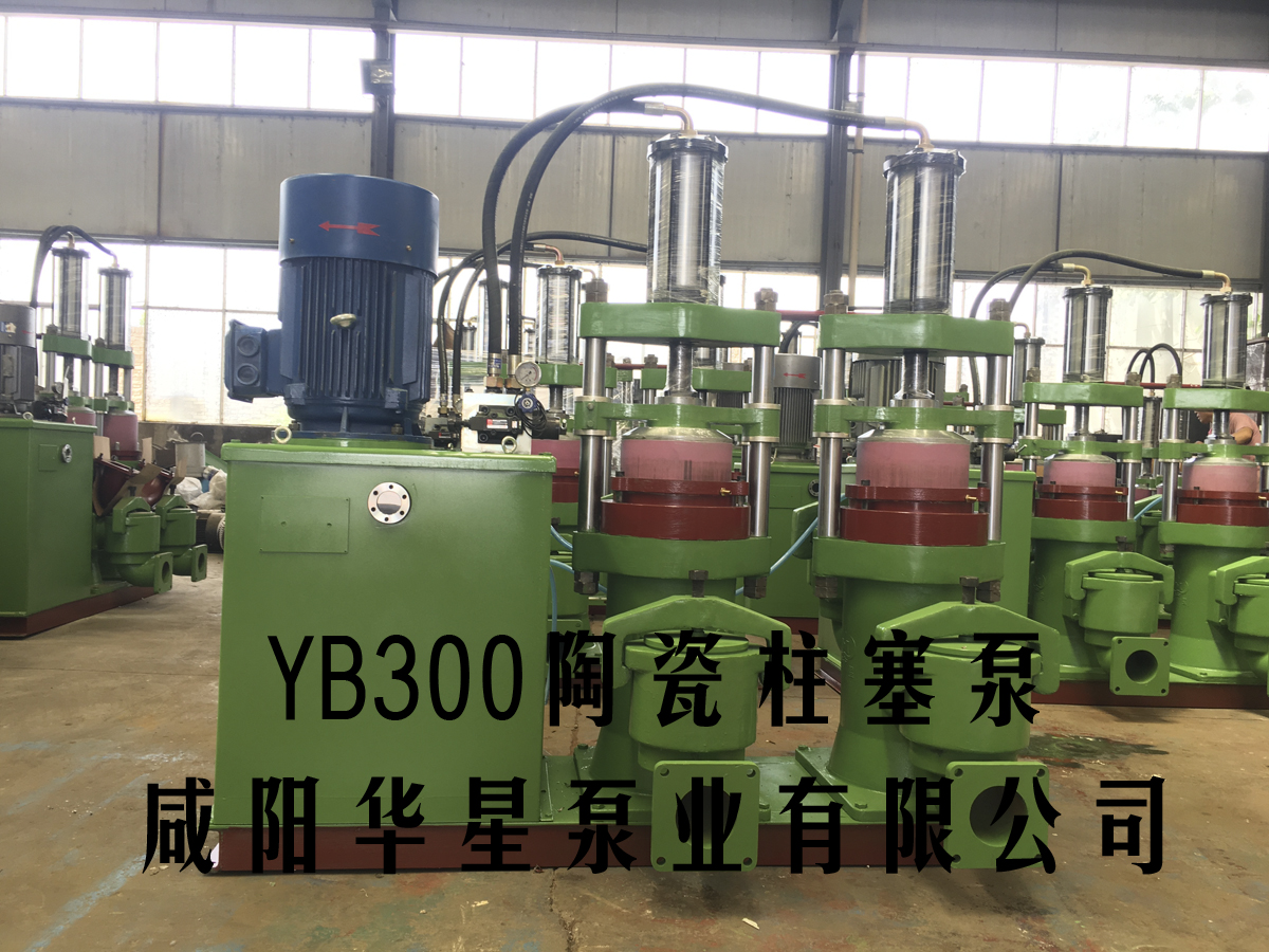 YBH200-19陶瓷柱塞泵(bèng)