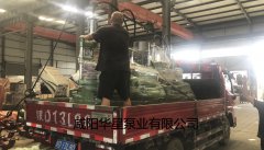 陶瓷(ci)柱塞泵發(fa)貨給客戶(hu)