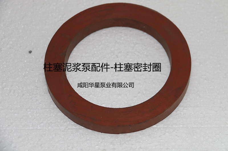 柱塞密(mì)封圈