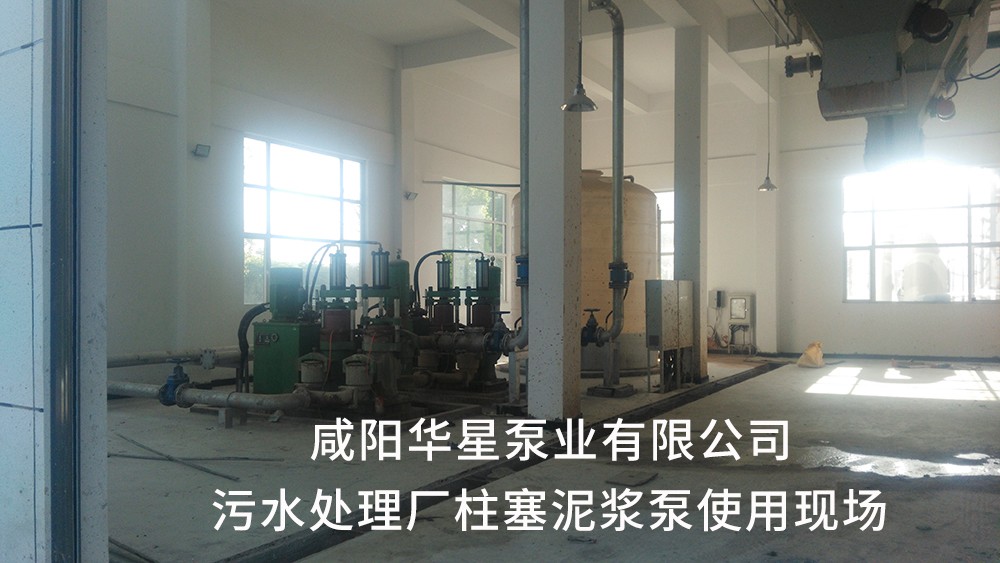 湖北仙桃(táo)污水處理(li)廠1-水印