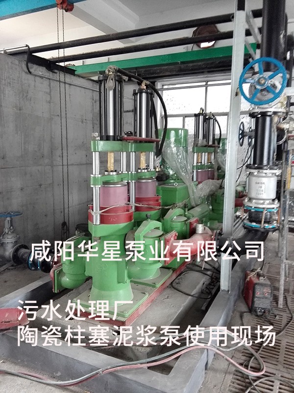 山東(dong)淄博光大(da)水務-市政(zheng)污水處理(lǐ)-水印2