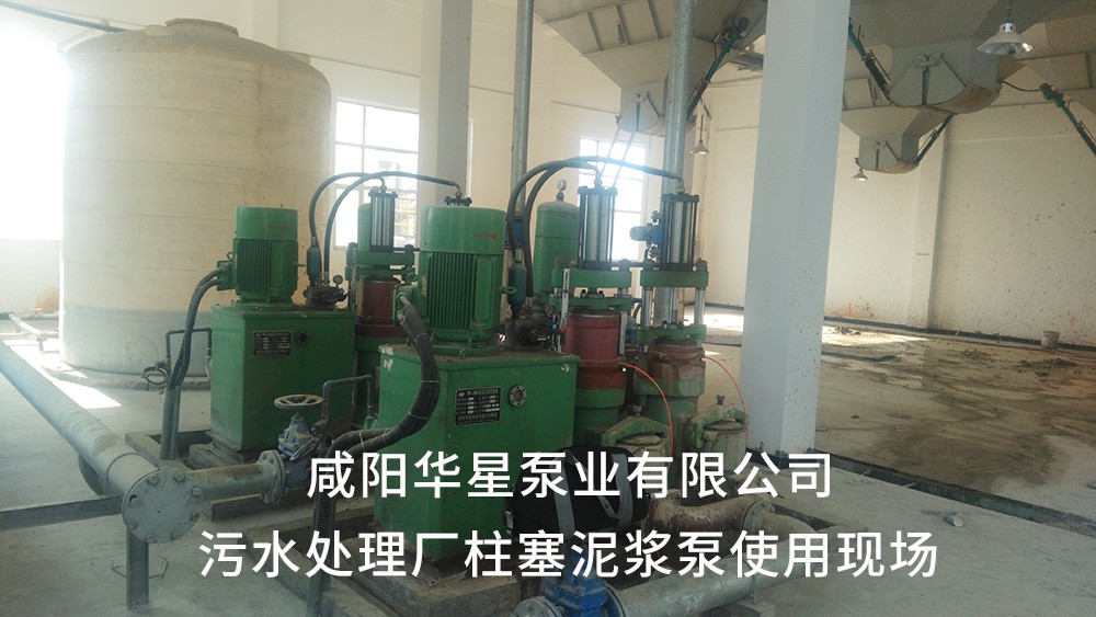 湖(hú)北仙桃污(wu)水處理廠(chang)2-水印