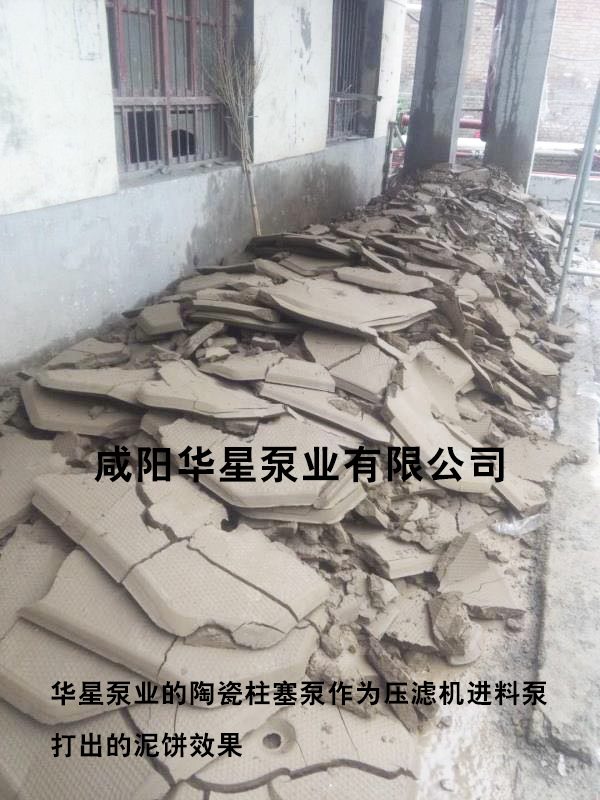 華星泵業泥(ni)餅-水印