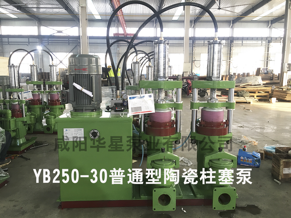 YB250-30陶瓷柱塞泵(beng)普通型陶瓷(cí)柱塞泵