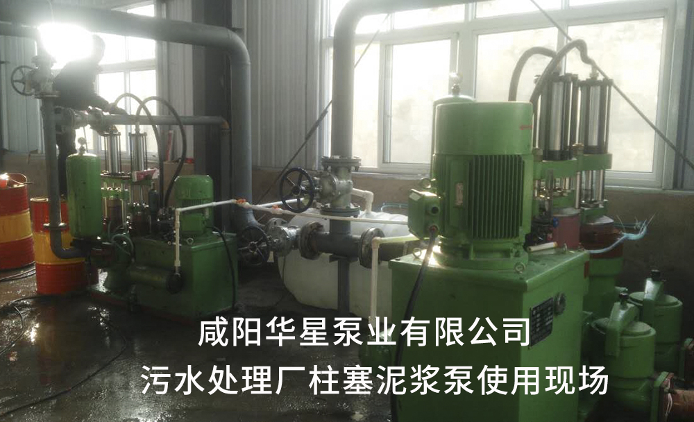 污水(shui)處理廠用(yòng)陶瓷柱塞(sai)泥漿泵