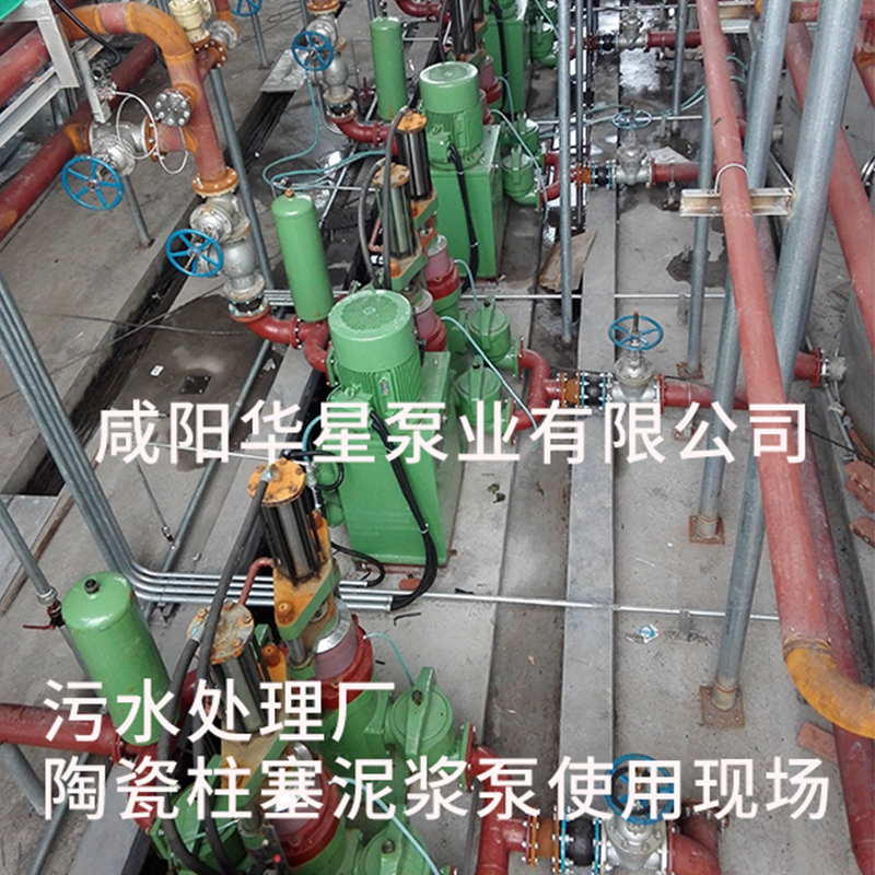 陶(táo)瓷柱塞泵調(diào)試運行步驟(zhòu)