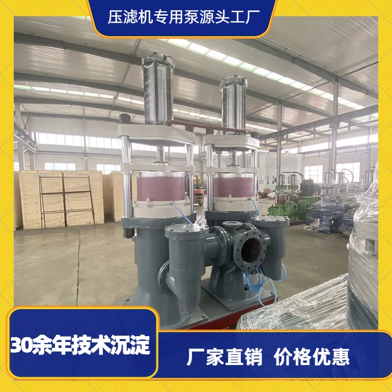 污泥柱塞(sai)泵工作原理(li)