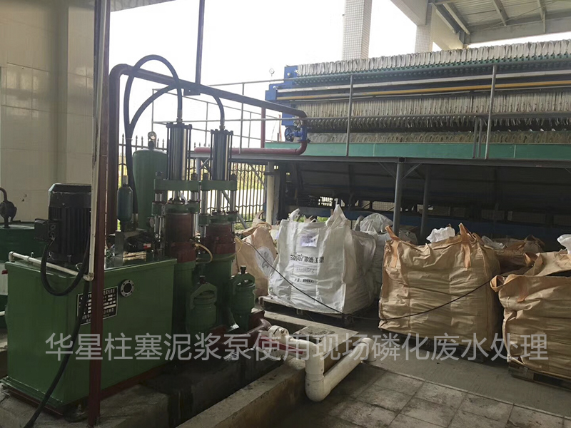 壓濾(lǜ)機入料泵有兩種(zhǒng)密封形式