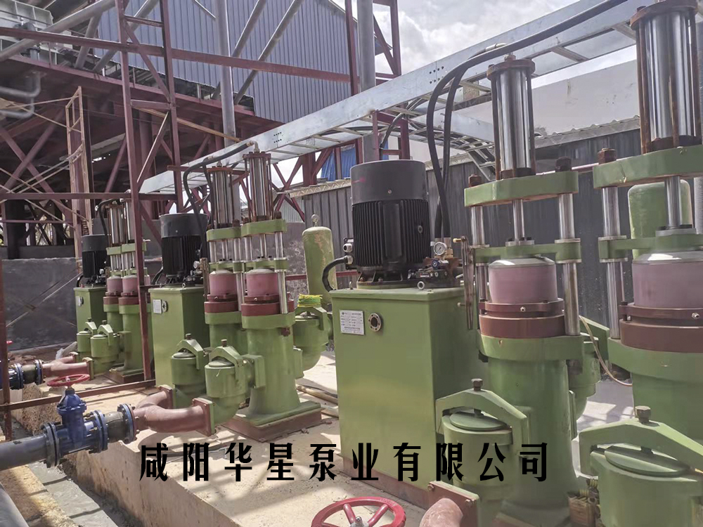 洗沙(sha)污水處理(lǐ)用陶瓷柱(zhù)塞泥漿泵(bèng)