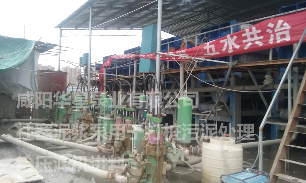 陶瓷柱塞泵說(shuo)明書