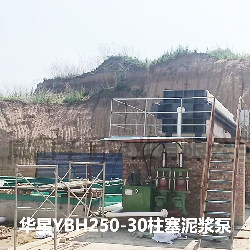 壓濾(lü)機入料泵(beng)